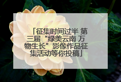 征集时间过半 第三届“绿美云南 万物生长”影像作品征集活动等你投稿
