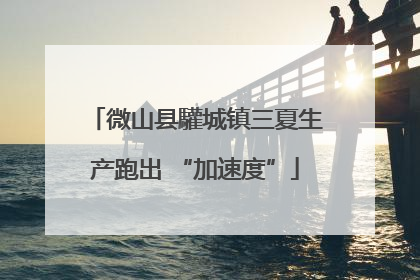 微山县驩城镇三夏生产跑出 “加速度”