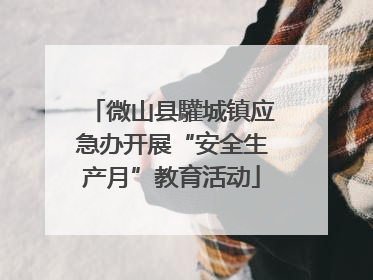 微山县驩城镇应急办开展“安全生产月”教育活动