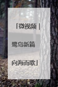 微视频｜鹭岛新篇 向海而歌