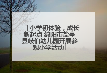 小学初体验，成长新起点 绵阳市盐亭县岐伯幼儿园开展参观小学活动