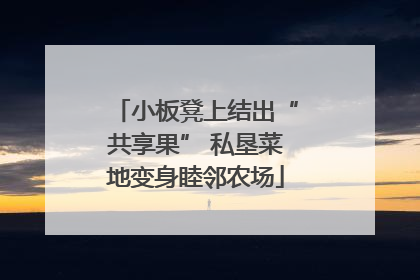 小板凳上结出“共享果” 私垦菜地变身睦邻农场