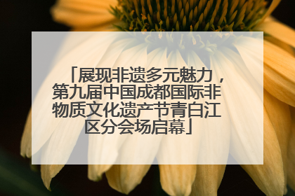 展现非遗多元魅力，第九届中国成都国际非物质文化遗产节青白江区分会场启幕