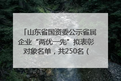 山东省国资委公示省属企业“两优一先”拟表彰对象名单，共250名（个）党员和党组织