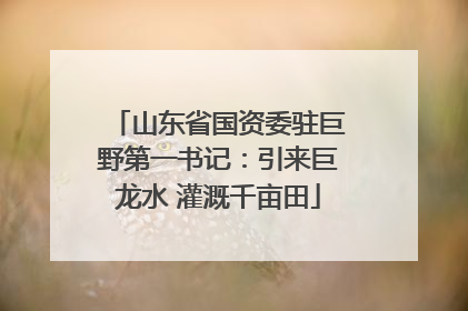 山东省国资委驻巨野第一书记：引来巨龙水 灌溉千亩田