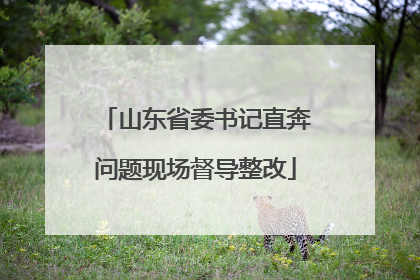 山东省委书记直奔问题现场督导整改