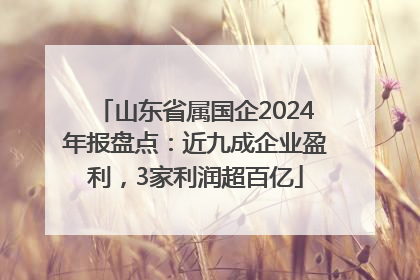 山东省属国企2024年报盘点：近九成企业盈利，3家利润超百亿