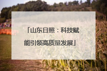 山东日照：科技赋能引领高质量发展