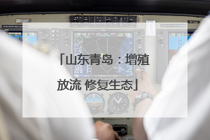 山东青岛：增殖放流 修复生态