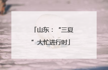 山东：“三夏”大忙进行时