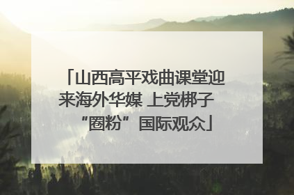 山西高平戏曲课堂迎来海外华媒 上党梆子“圈粉”国际观众