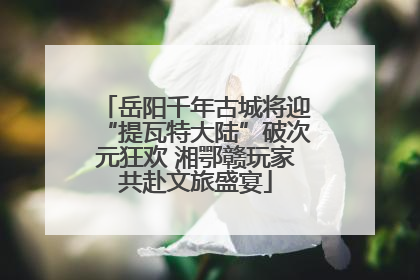 岳阳千年古城将迎“提瓦特大陆”破次元狂欢 湘鄂赣玩家共赴文旅盛宴
