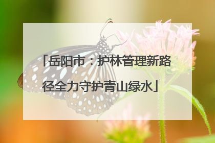 岳阳市：护林管理新路径全力守护青山绿水