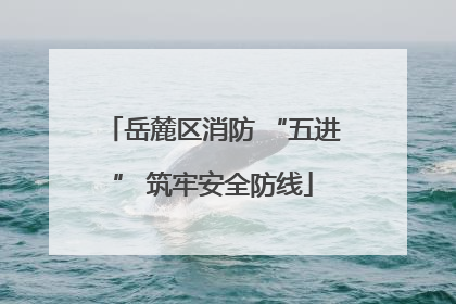 岳麓区消防 “五进” 筑牢安全防线