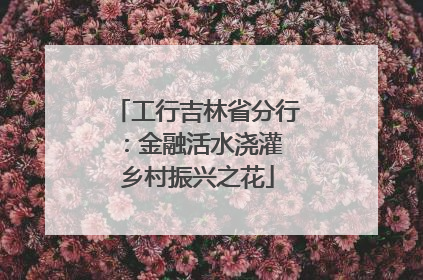 工行吉林省分行：金融活水浇灌 乡村振兴之花
