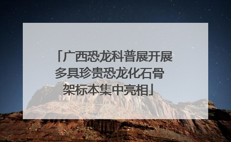 广西恐龙科普展开展 多具珍贵恐龙化石骨架标本集中亮相