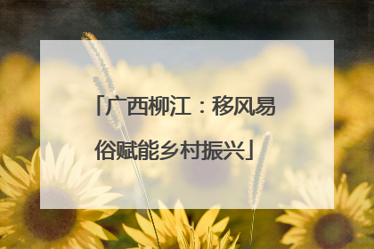 广西柳江：移风易俗赋能乡村振兴