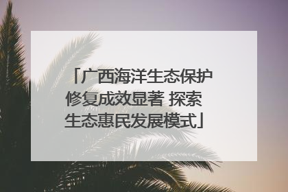 广西海洋生态保护修复成效显著 探索生态惠民发展模式