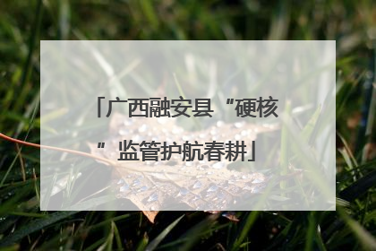 广西融安县“硬核”监管护航春耕