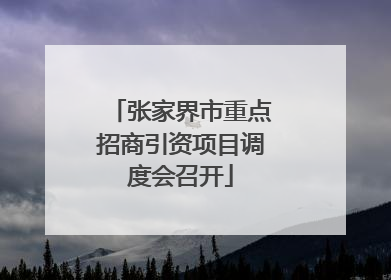 张家界市重点招商引资项目调度会召开
