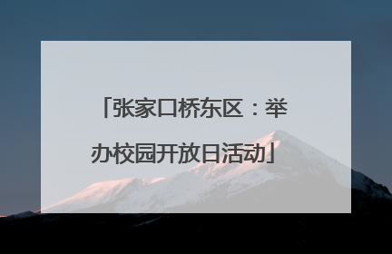 张家口桥东区：举办校园开放日活动