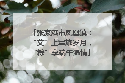 张家港市凤凰镇：“艾”上军旅岁月，“粽”享端午温情