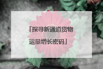 探寻新通道货物运量增长密码