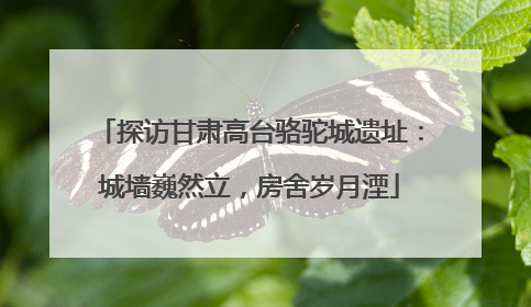 探访甘肃高台骆驼城遗址：城墙巍然立，房舍岁月湮