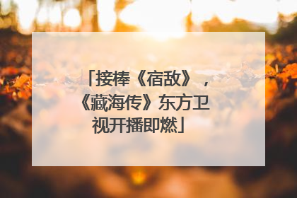 接棒《宿敌》，《藏海传》东方卫视开播即燃