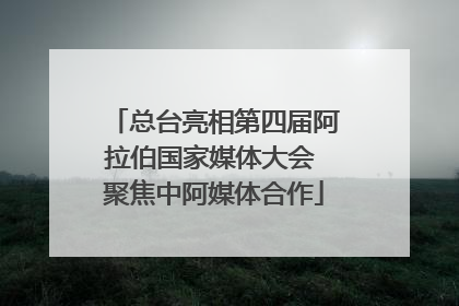 总台亮相第四届阿拉伯国家媒体大会 聚焦中阿媒体合作