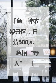 急！神农架景区：日薪500元，急招“野人”！