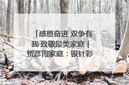 感恩奋进 双争有我·致敬最美家庭｜贺彦霞家庭：银针彩线绣出好日子