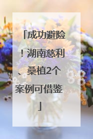 成功避险！湖南慈利、桑植2个案例可借鉴