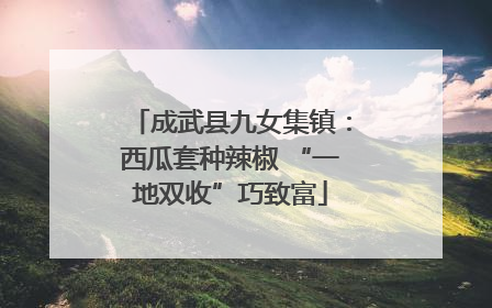 成武县九女集镇：西瓜套种辣椒 “一地双收”巧致富