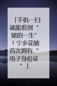 手机一扫就能看到“猪的一生”！宁乡花猪首次拥有“电子身份证”