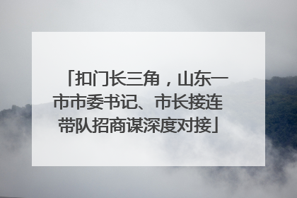 扣门长三角，山东一市市委书记、市长接连带队招商谋深度对接