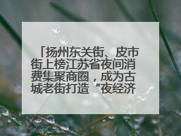 扬州东关街、皮市街上榜江苏省夜间消费集聚商圈，成为古城老街打造“夜经济”的样本