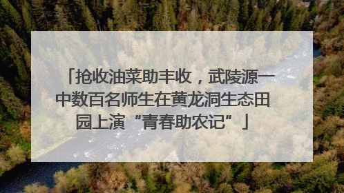 抢收油菜助丰收，武陵源一中数百名师生在黄龙洞生态田园上演“青春助农记”