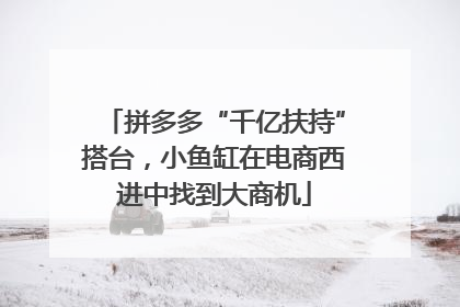 拼多多“千亿扶持”搭台，小鱼缸在电商西进中找到大商机