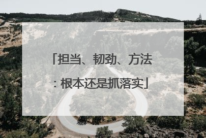 担当、韧劲、方法：根本还是抓落实