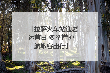拉萨火车站迎暑运首日 多举措护航旅客出行