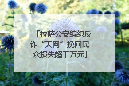 拉萨公安编织反诈“天网”挽回民众损失超千万元