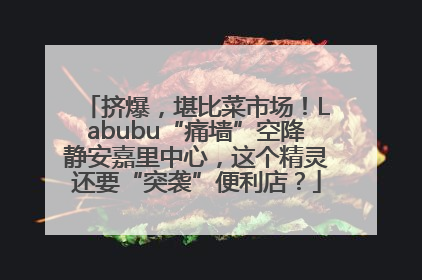 挤爆，堪比菜市场！Labubu“痛墙”空降静安嘉里中心，这个精灵还要“突袭”便利店？