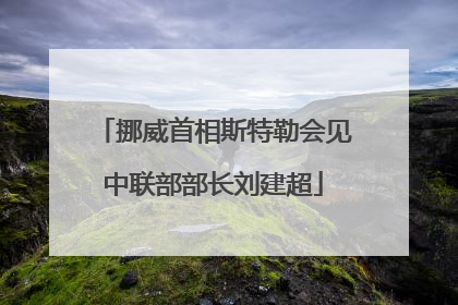 挪威首相斯特勒会见中联部部长刘建超