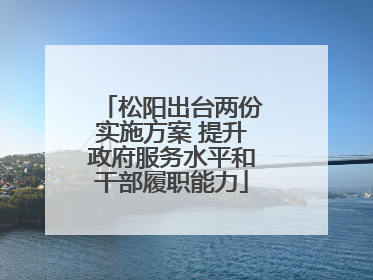 松阳出台两份实施方案 提升政府服务水平和干部履职能力
