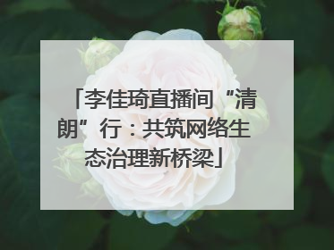 李佳琦直播间“清朗”行：共筑网络生态治理新桥梁