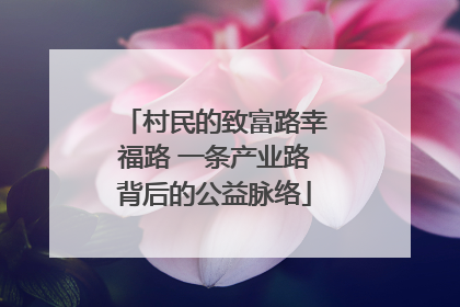 村民的致富路幸福路 一条产业路背后的公益脉络