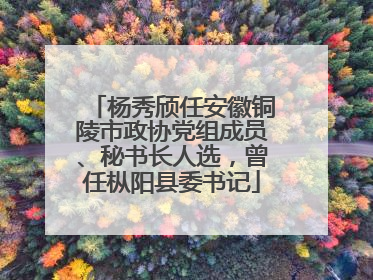 杨秀颀任安徽铜陵市政协党组成员、秘书长人选，曾任枞阳县委书记
