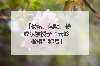 杨斌、闻明、徐成东被授予“云岭楷模”称号