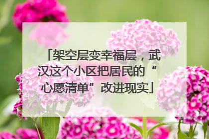 架空层变幸福层，武汉这个小区把居民的“心愿清单”改进现实